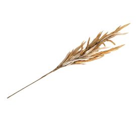 Декоративные цветы